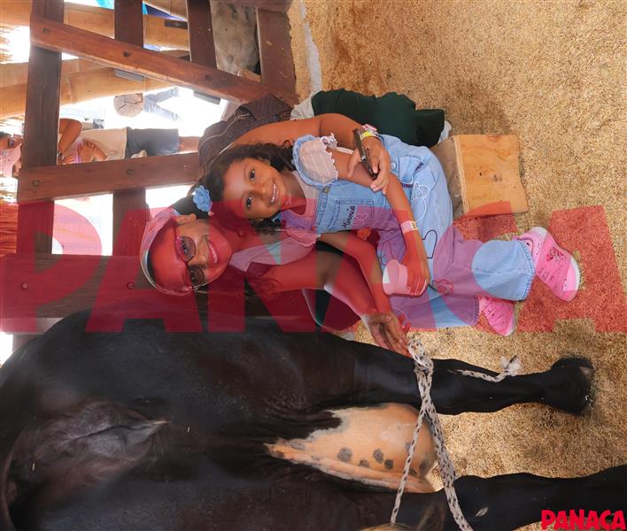 80122851