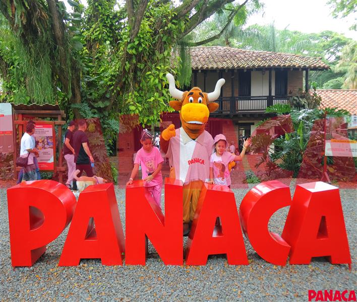 25131573