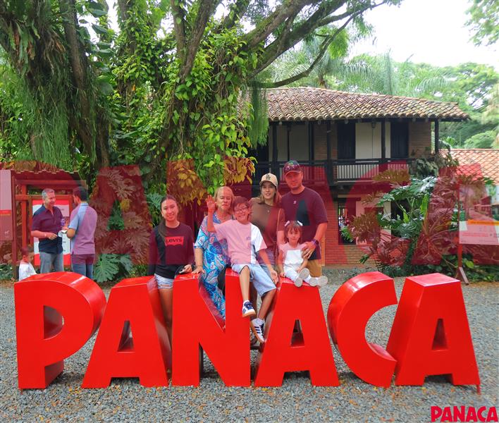 25132931