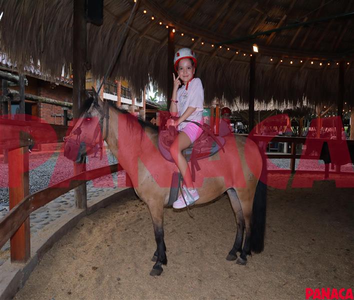 25132384