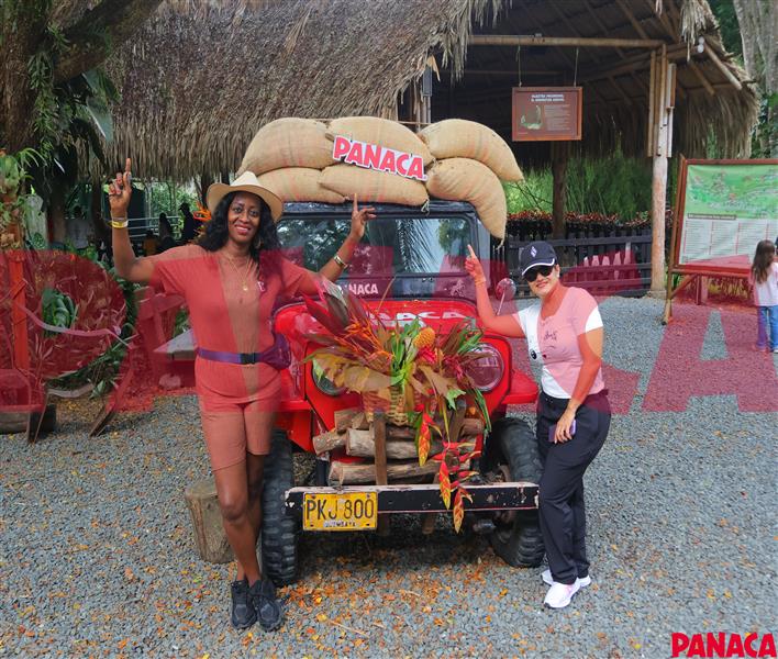 45157923