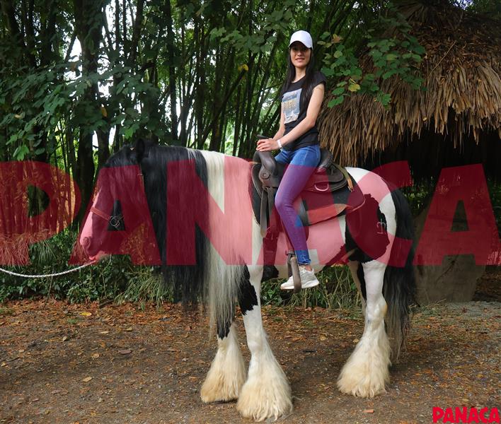 65424662