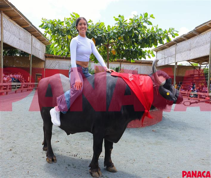 70147790