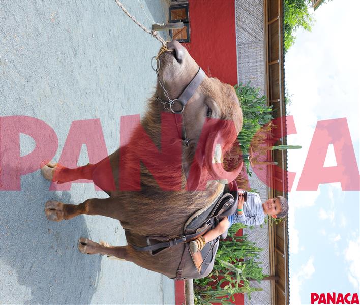 50190489