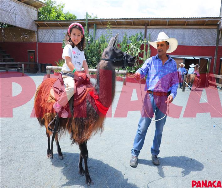 50190490