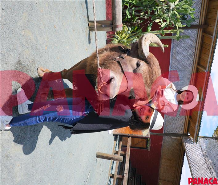 45158373