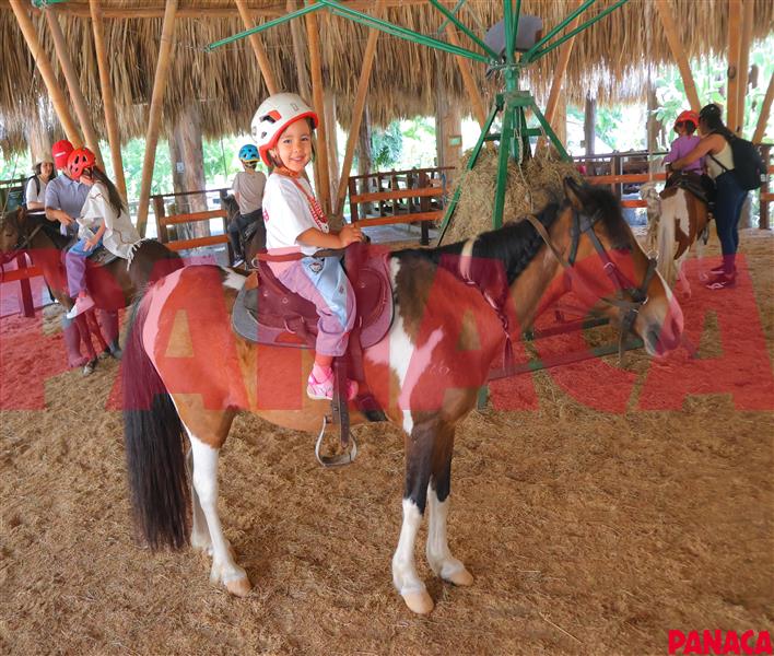 45157990