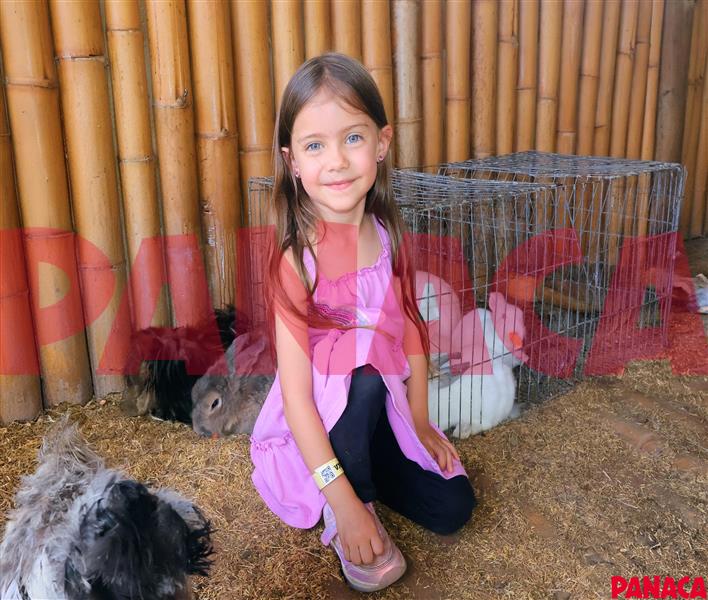70147812