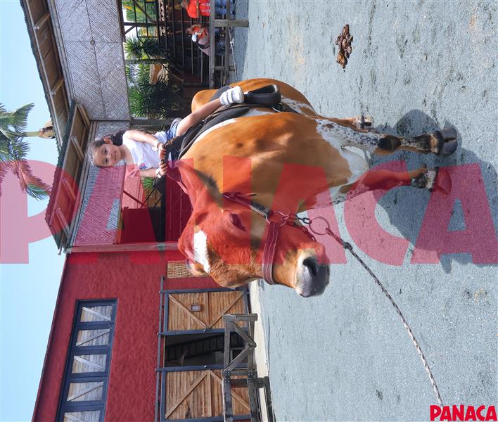 00000023