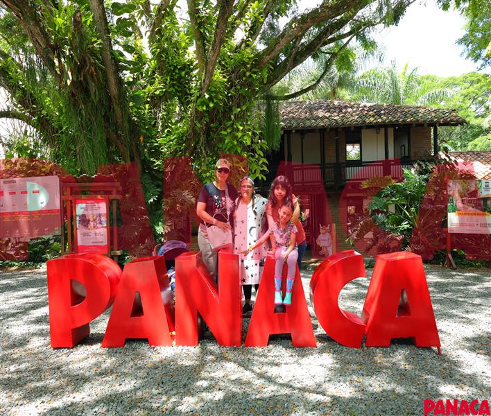 95034689