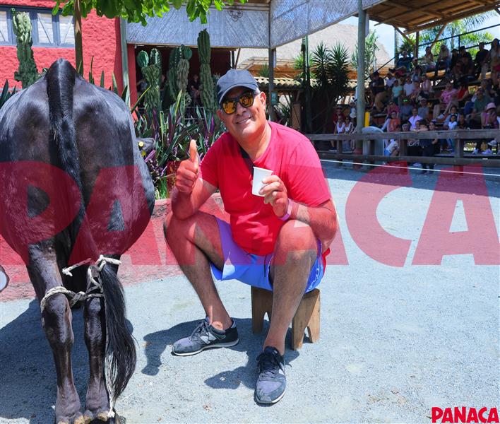 33013763