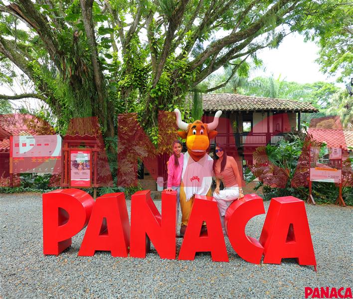 30174027