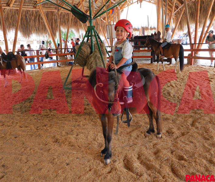 80123448