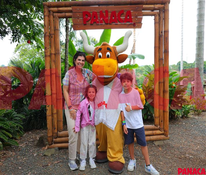 65424333