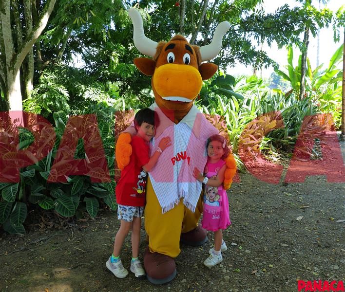 65426160