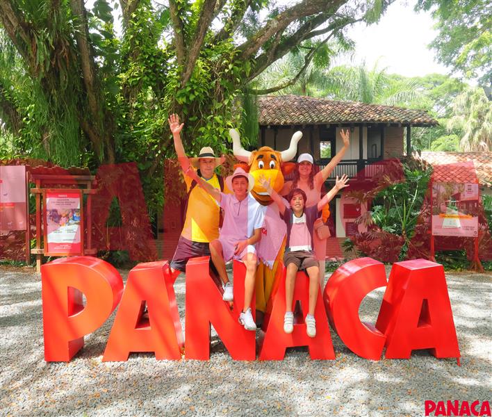 75014823