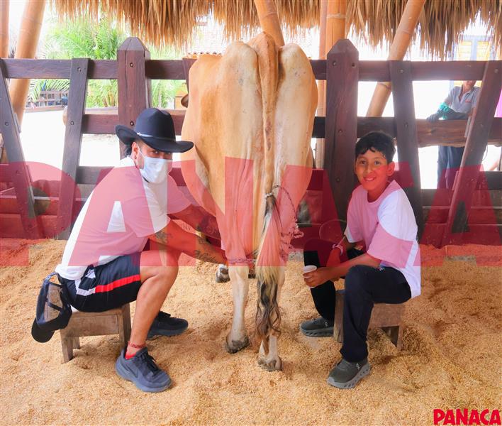 45158636