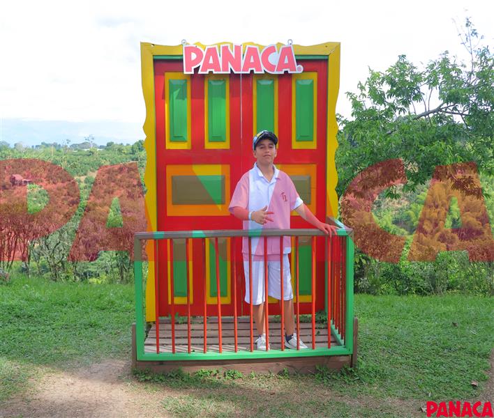 45158698
