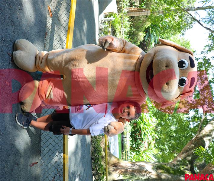 40128476