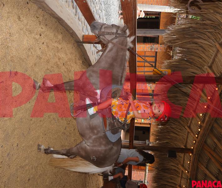 28059447