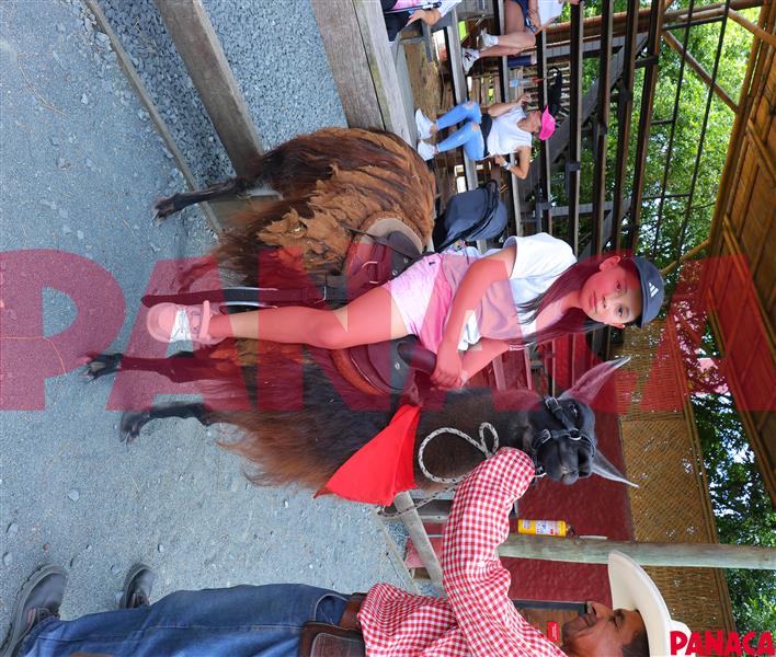 65427410
