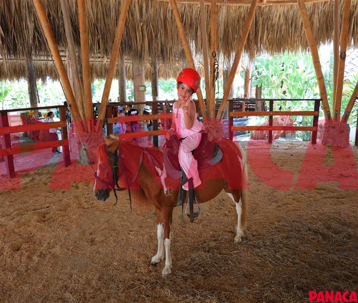60150526