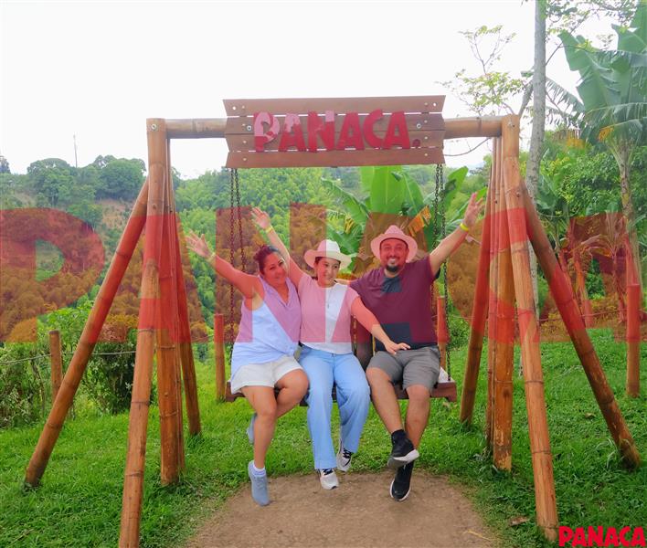 80116842