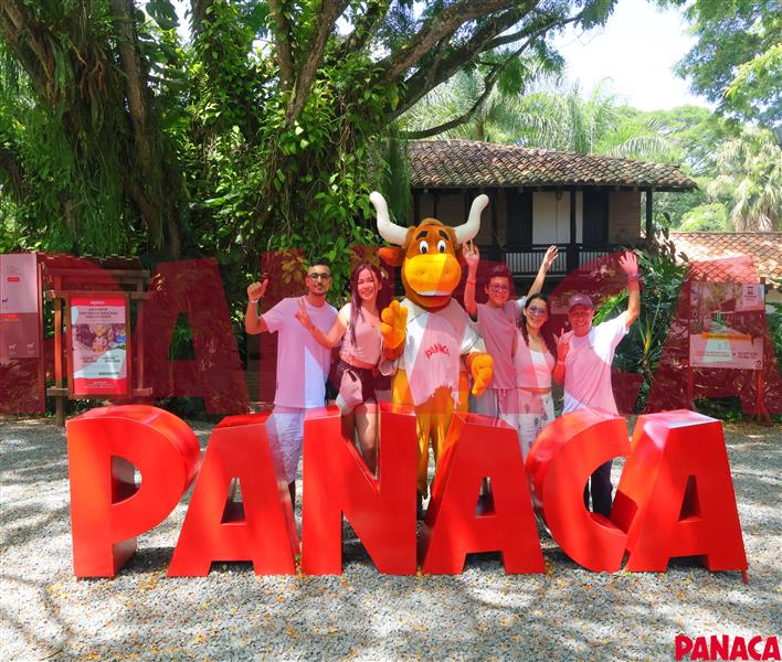 33015207