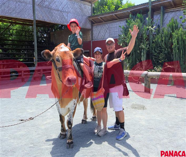 65427662