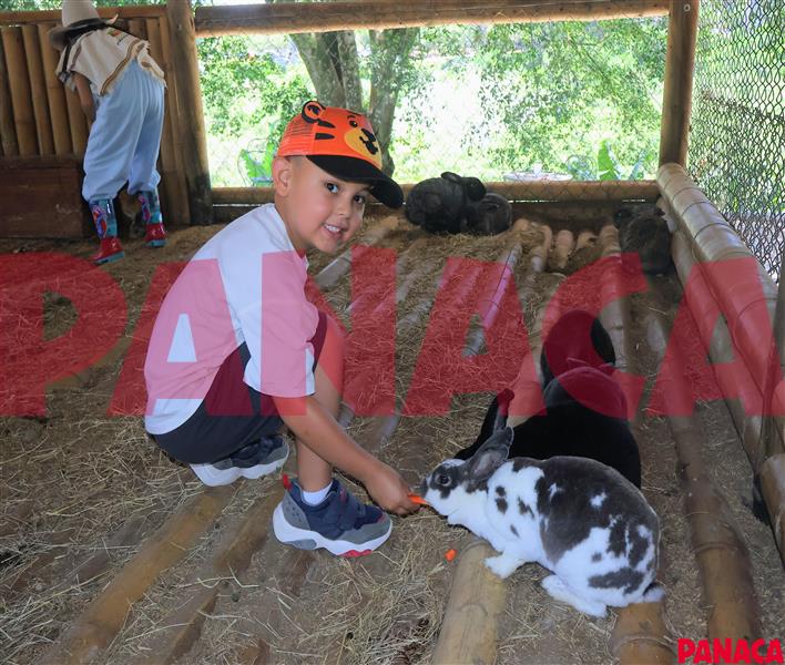 33015187