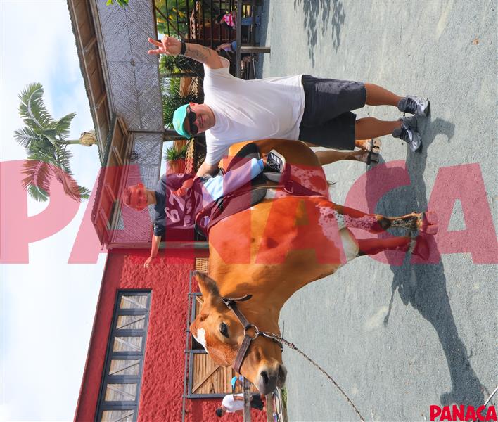 50191504