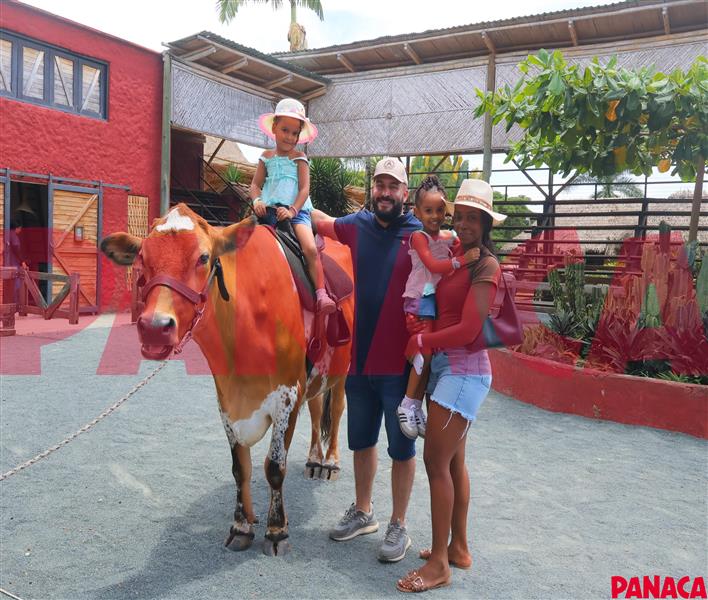 50191511