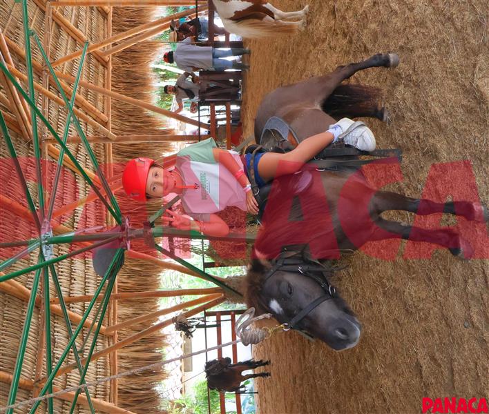 10190432