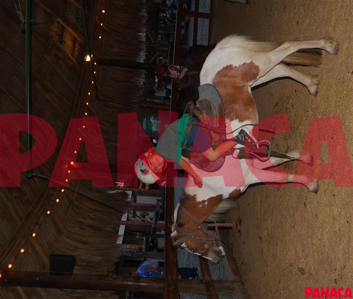 80116037