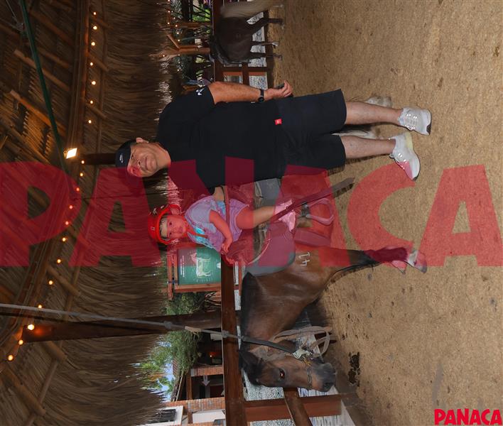 45158916