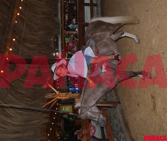 45159334