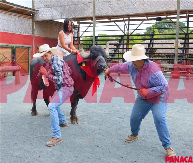 10190553