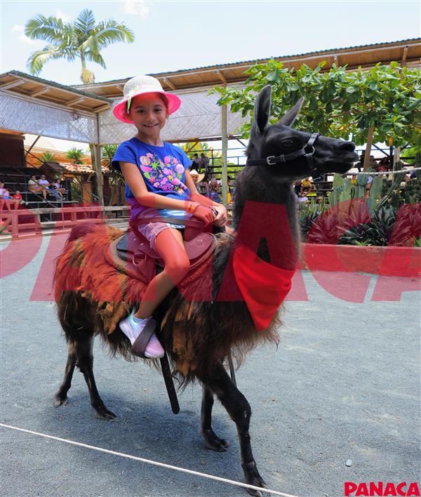 10011991