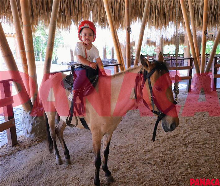 10190660