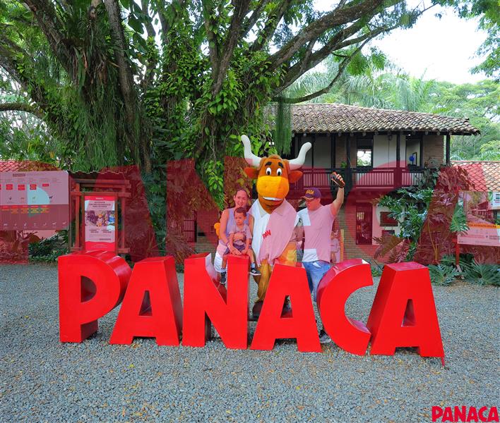 20216714