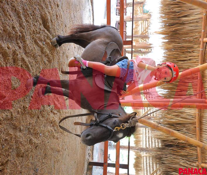 45860001