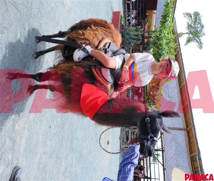 60151051