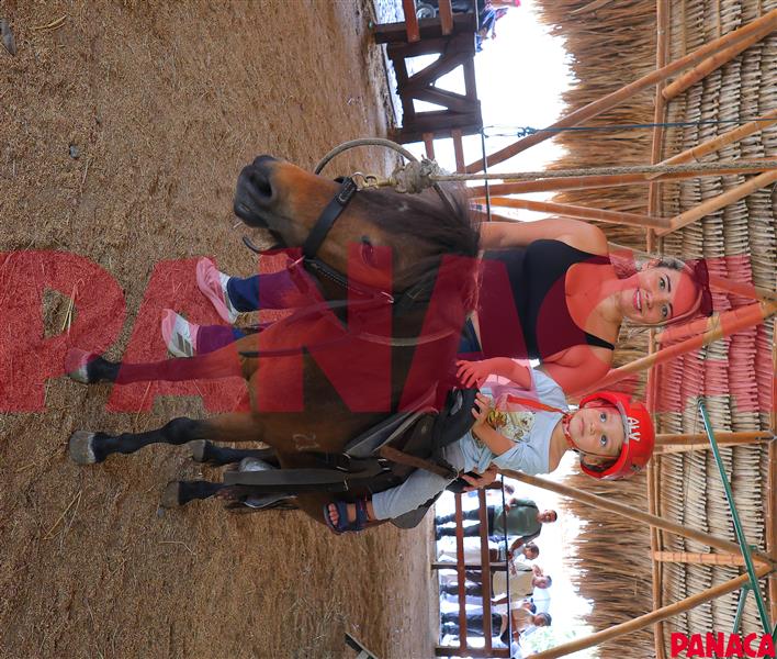 50192230