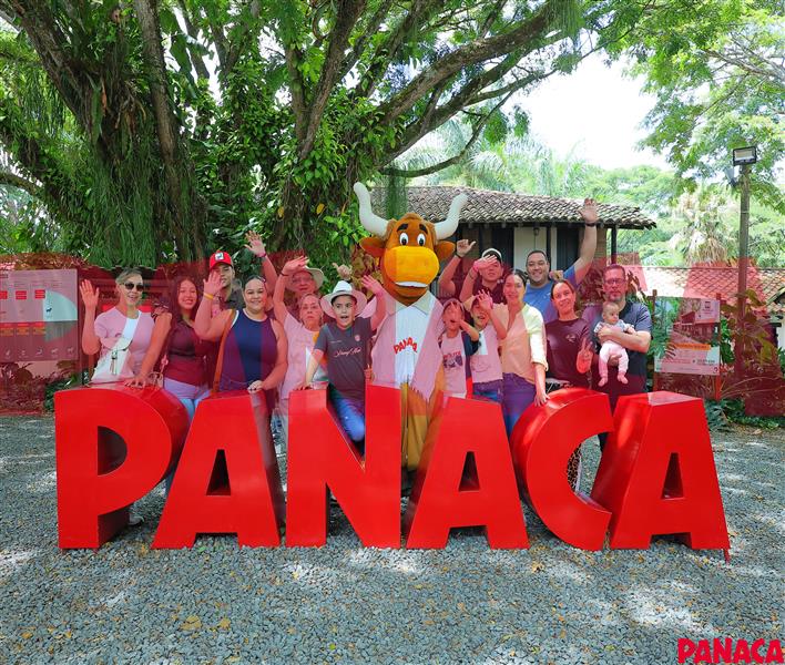 23009355