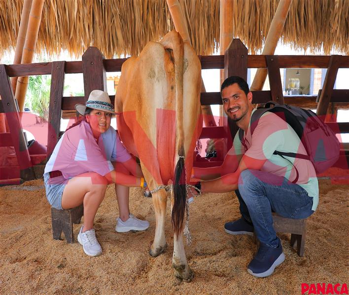 07032026