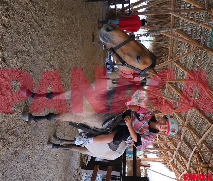 20216940