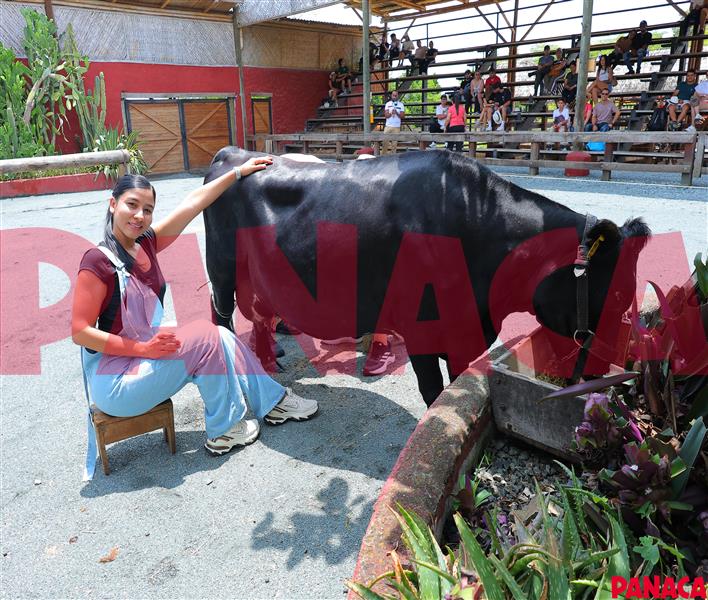 40129354