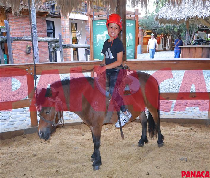 10191413