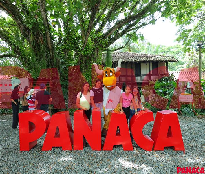 23010767