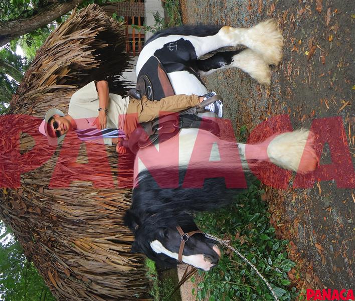 23010197